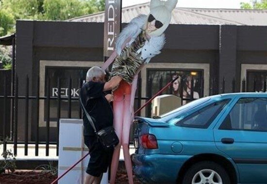 Anti-Gaga Protests Around the Country